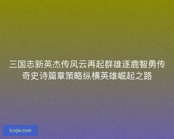 三国志新英杰传风云再起群雄逐鹿智勇传奇史诗篇章策略纵横英雄崛起之路