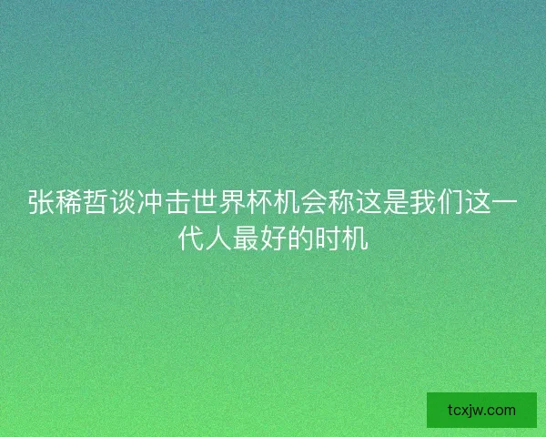 张稀哲谈冲击世界杯机会称这是我们这一代人最好的时机