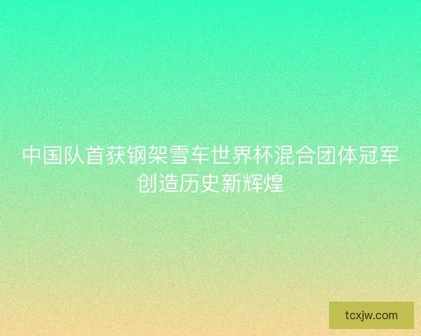 中国队首获钢架雪车世界杯混合团体冠军创造历史新辉煌