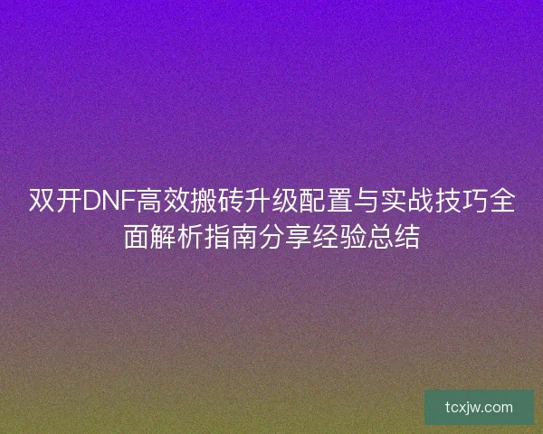 双开DNF高效搬砖升级配置与实战技巧全面解析指南分享经验总结