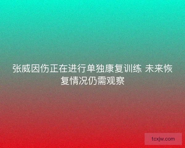 张威因伤正在进行单独康复训练 未来恢复情况仍需观察