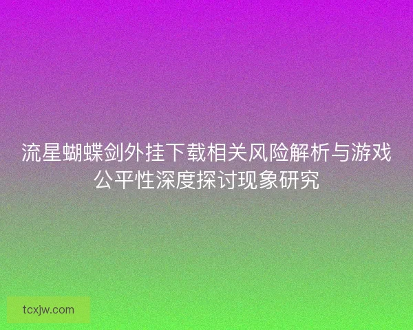 流星蝴蝶剑外挂下载相关风险解析与游戏公平性深度探讨现象研究