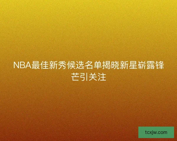 NBA最佳新秀候选名单揭晓新星崭露锋芒引关注