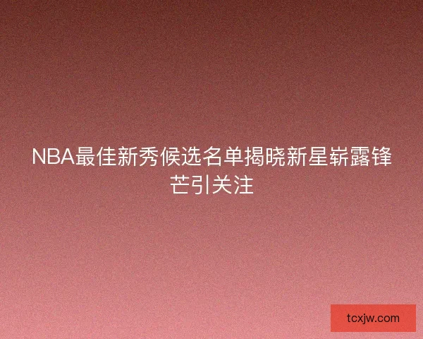 NBA最佳新秀候选名单揭晓新星崭露锋芒引关注