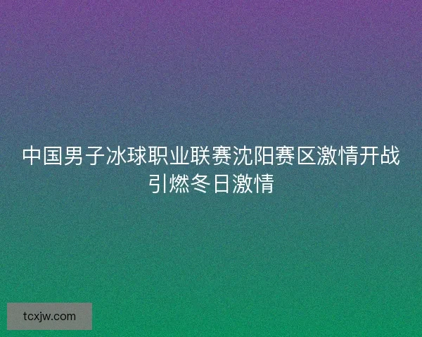中国男子冰球职业联赛沈阳赛区激情开战引燃冬日激情